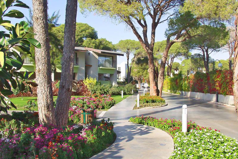 home garden with walkway