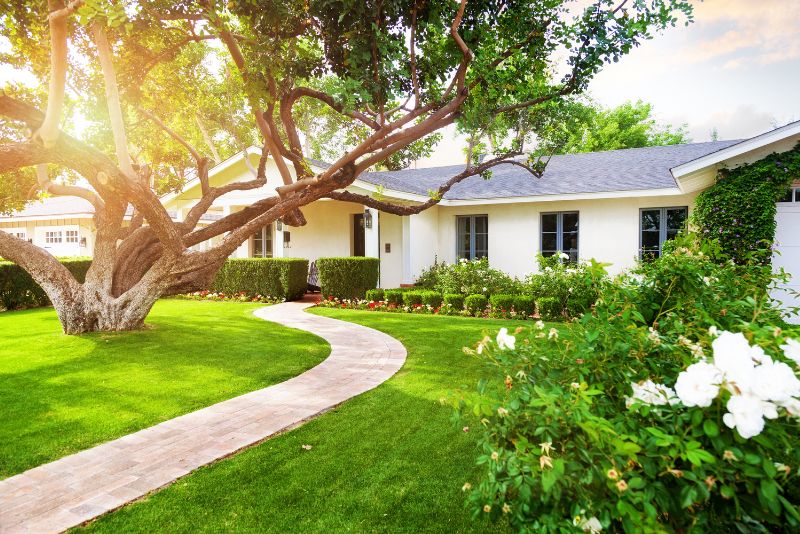 front yard landscaping