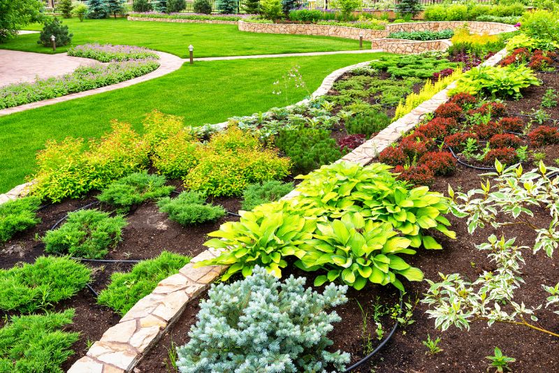 stylish lawn